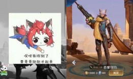 王者小兔爆料视频大全最新,揭秘游戏幕后精彩瞬间