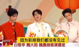 徐凯爆料新闻事件视频,揭秘新闻事件背后真相